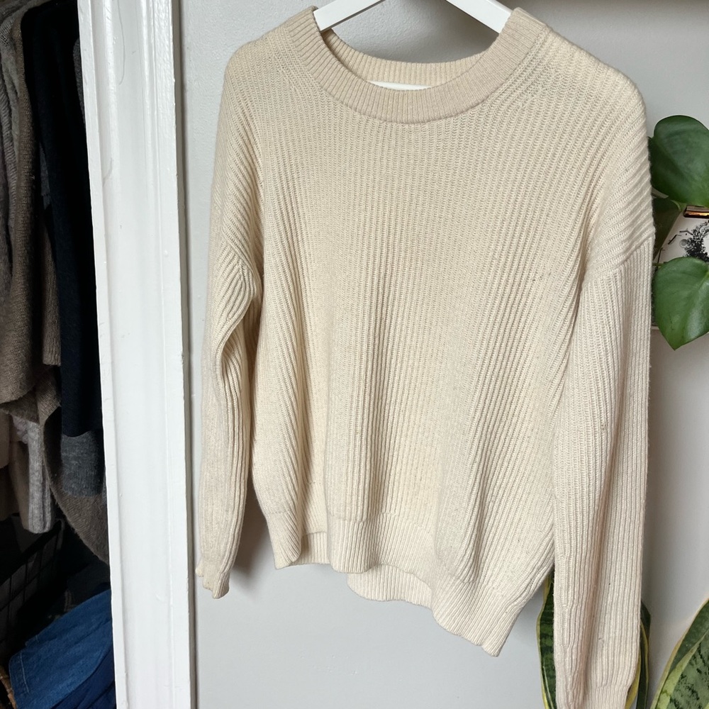 Everlane 100% cashmere sweater